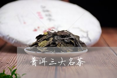 普洱三大名茶/2023042934407