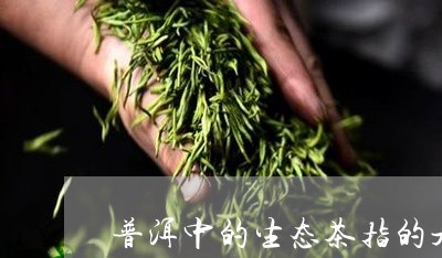 普洱中的生态茶指的是/2023061381604