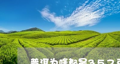 普洱为啥都是357克/2023061399795