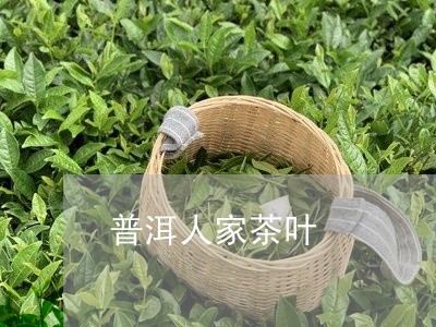 普洱人家茶叶/2023090720703