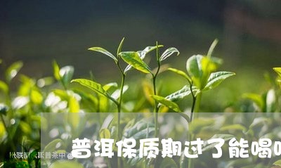 普洱保质期过了能喝吗/2023092508259