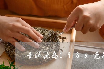 普洱冰岛1985老茶/2023061414828