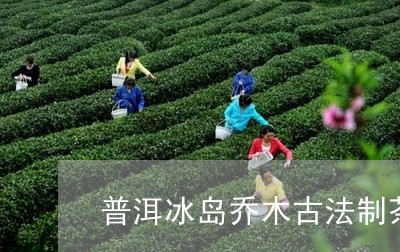 普洱冰岛乔木古法制茶/2023092510583