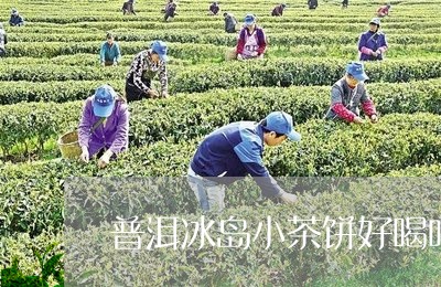 普洱冰岛小茶饼好喝吗/2023092558270