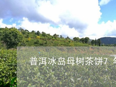 普洱冰岛母树茶饼7年/2023061488473