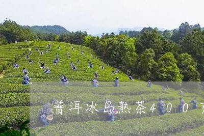 普洱冰岛熟茶400克/2023092513039