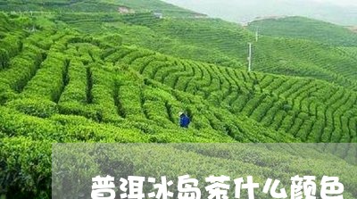 普洱冰岛茶什么颜色/2023042997492