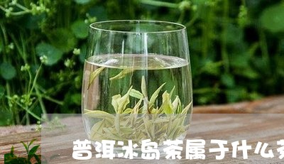 普洱冰岛茶属于什么茶/2023061462625