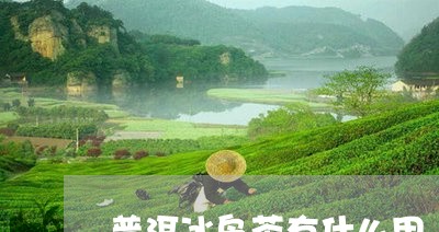 普洱冰岛茶有什么用/2023042947248