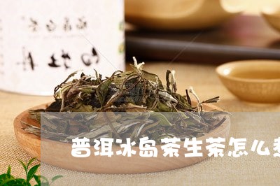 普洱冰岛茶生茶怎么煮/2023092529704