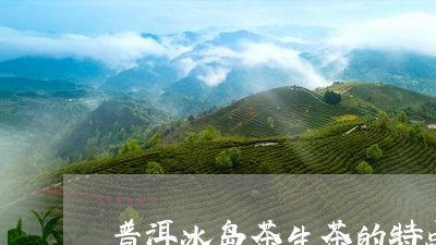 普洱冰岛茶生茶的特点/2023061472936