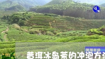 普洱冰岛茶的冲泡方法/2023061405147