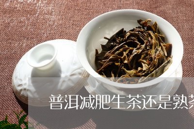 普洱减肥生茶还是熟茶减肥效果好/2023060237353