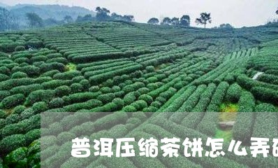 普洱压缩茶饼怎么弄碎/2023092592615