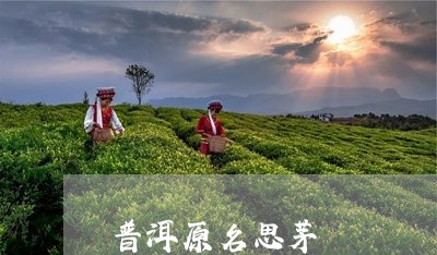 普洱原名思茅/2023090719392