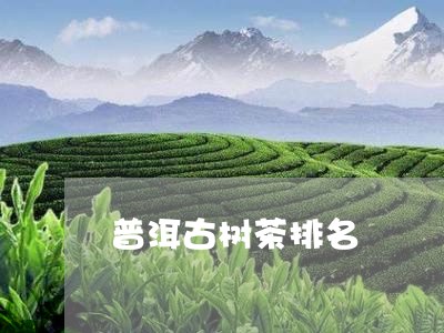 普洱古树茶排名/2023102470591