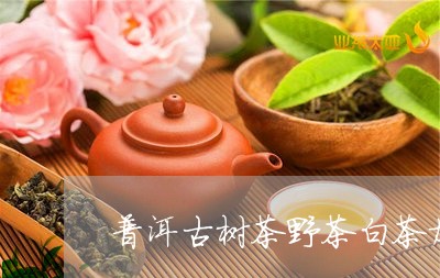 普洱古树茶野茶白茶加工与销售/2023063034251