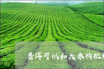 普洱可以和大枣枸杞菊花一起泡吗/2023060386247