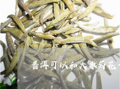 普洱可以和大枣菊花一起泡吗/2023052756049