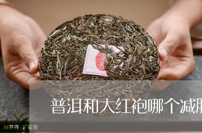 普洱和大红袍哪个减肥/2023092564937