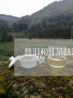 普洱和红茶普洱茶和红茶是一类吗/2023060327059