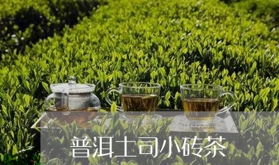 普洱土司小砖茶/2023102451027
