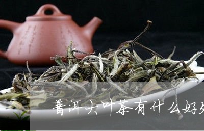 普洱大叶茶有什么好处/2023061384928