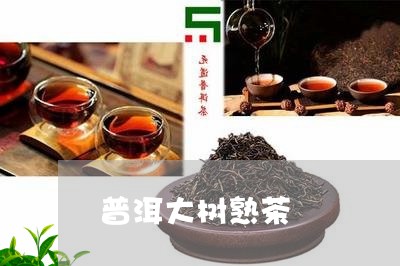 普洱大树熟茶/2023090743947