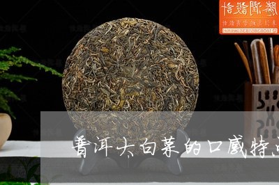 普洱大白菜的口感特点/2023092454026