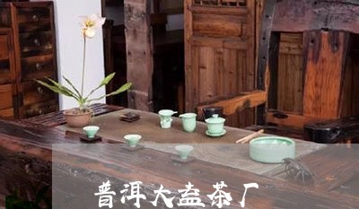 普洱大益茶厂/2023042902712