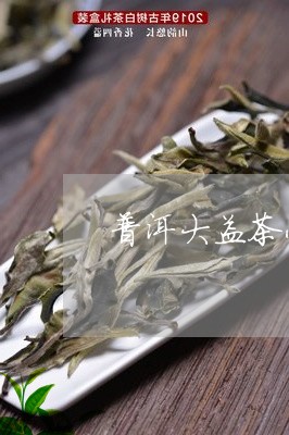 普洱大益茶小金豆生茶/2023092425247