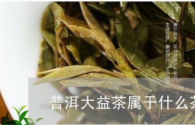 普洱大益茶属于什么茶/2023092535348