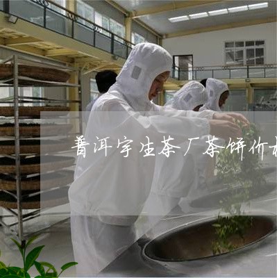 普洱宇生茶厂茶饼价格/2023061395971