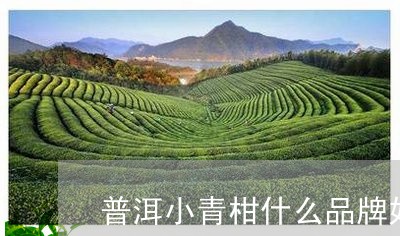 普洱小青柑什么品牌好/2023092457169