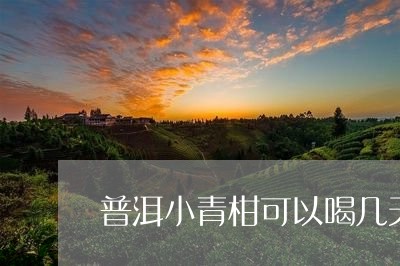 普洱小青柑可以喝几天/2023061316069