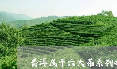 普洱属于六大茶系列吗/2023092564920