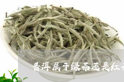 普洱属于绿茶还是红茶/2023061349583