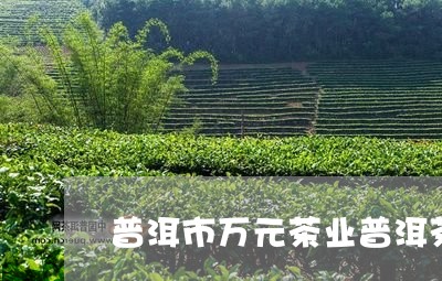 普洱市万元茶业普洱茶/2023080371503