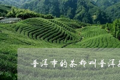 普洱市的茶都叫普洱茶吗/2023121613848