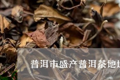 普洱市盛产普洱茶地址/2023062879359