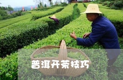 普洱开茶技巧/2023090650683