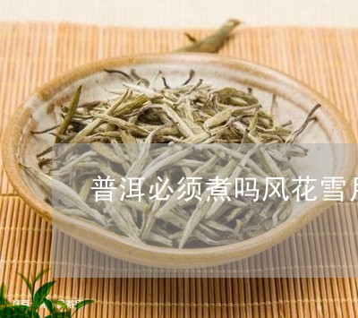 普洱必须煮吗风花雪月普洱茶/2023052760460