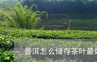 普洱怎么储存茶叶最好/2023092549404