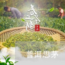 普洱思茅/2023090195040