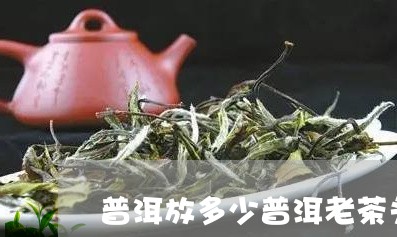 普洱放多少普洱老茶头几泡可以喝/2023060335279