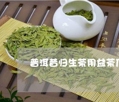 普洱昔归生茶用益茶厂/2023092455906