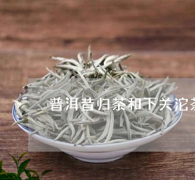 普洱昔归茶和下关沱茶/2023092422925