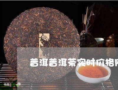 普洱普洱茶实时价格网/2023080304938