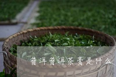 普洱普洱茶膏是什么/2023070912613