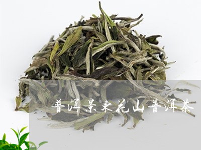 普洱景东花山普洱茶/2023091558604